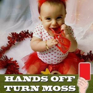 Meet your Posher, Ana